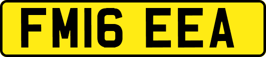 FM16EEA