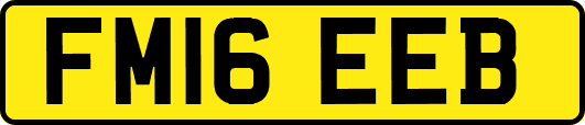FM16EEB