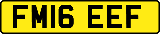FM16EEF