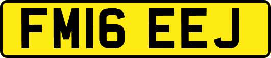 FM16EEJ