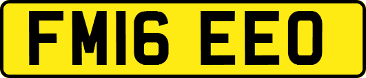 FM16EEO