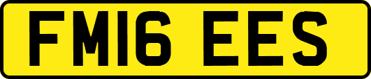 FM16EES