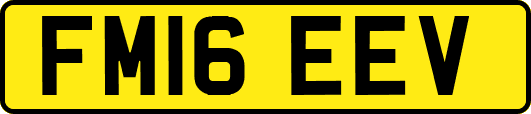 FM16EEV