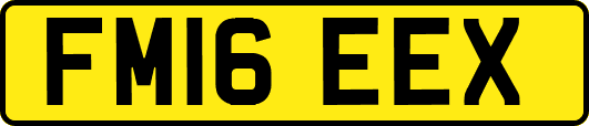 FM16EEX