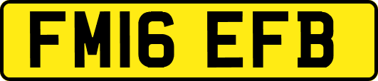 FM16EFB
