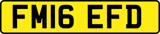 FM16EFD
