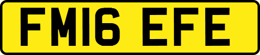 FM16EFE