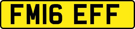FM16EFF