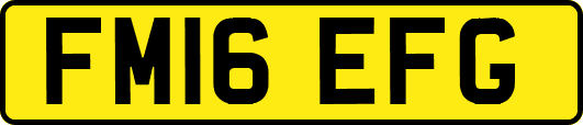 FM16EFG