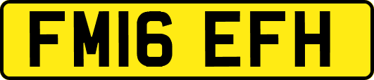 FM16EFH