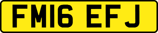 FM16EFJ