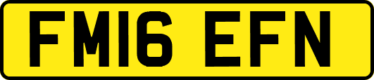 FM16EFN