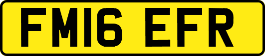 FM16EFR