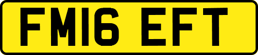 FM16EFT