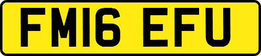 FM16EFU