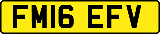 FM16EFV