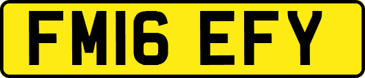 FM16EFY