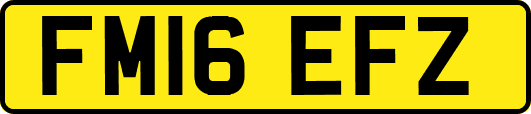 FM16EFZ