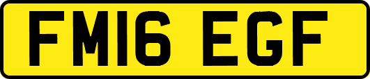 FM16EGF