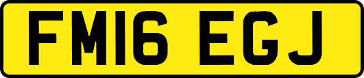 FM16EGJ