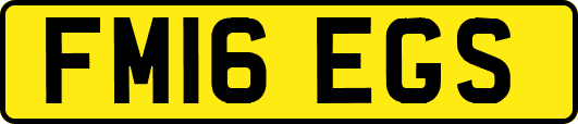 FM16EGS