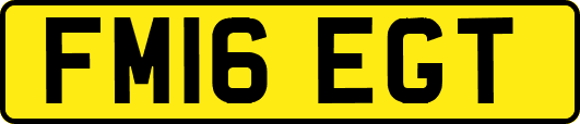 FM16EGT
