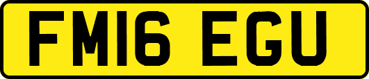 FM16EGU