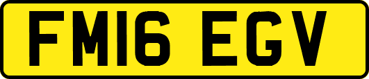 FM16EGV