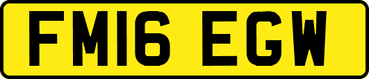 FM16EGW