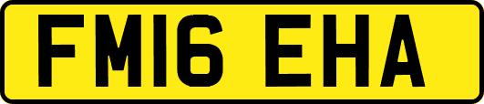 FM16EHA