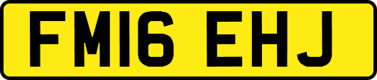 FM16EHJ