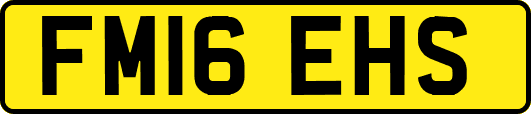 FM16EHS