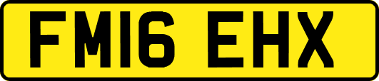FM16EHX
