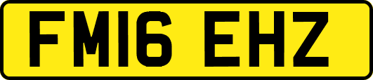 FM16EHZ