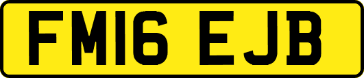 FM16EJB