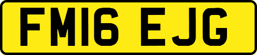 FM16EJG