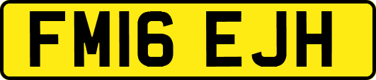 FM16EJH