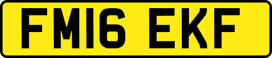 FM16EKF