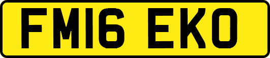 FM16EKO