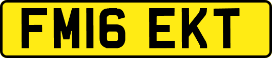 FM16EKT