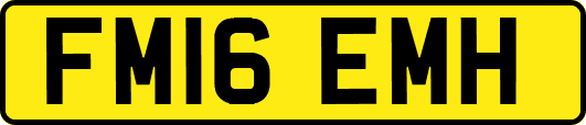FM16EMH
