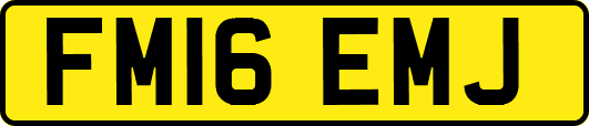 FM16EMJ