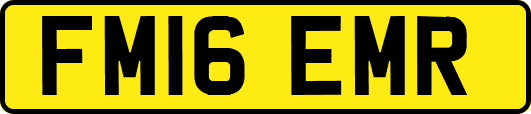 FM16EMR