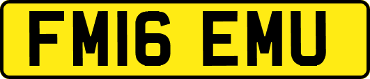 FM16EMU