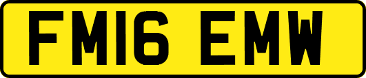 FM16EMW