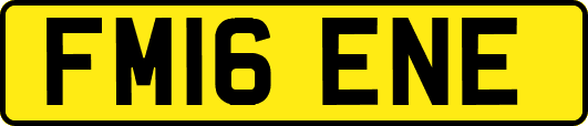 FM16ENE