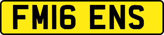 FM16ENS