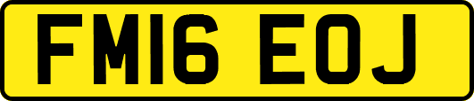 FM16EOJ