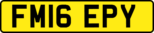 FM16EPY