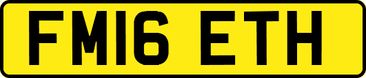 FM16ETH